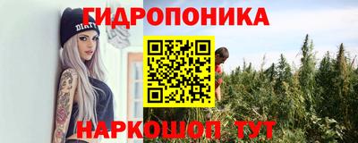 амф Анапа