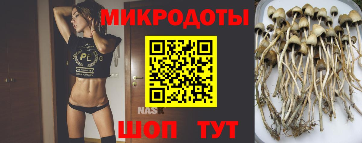 Галлюциногенные грибы GOLDEN TEACHER  Вход с VPN  Ефремов  купить закладку  Псилоцибиновые грибы мухоморы 